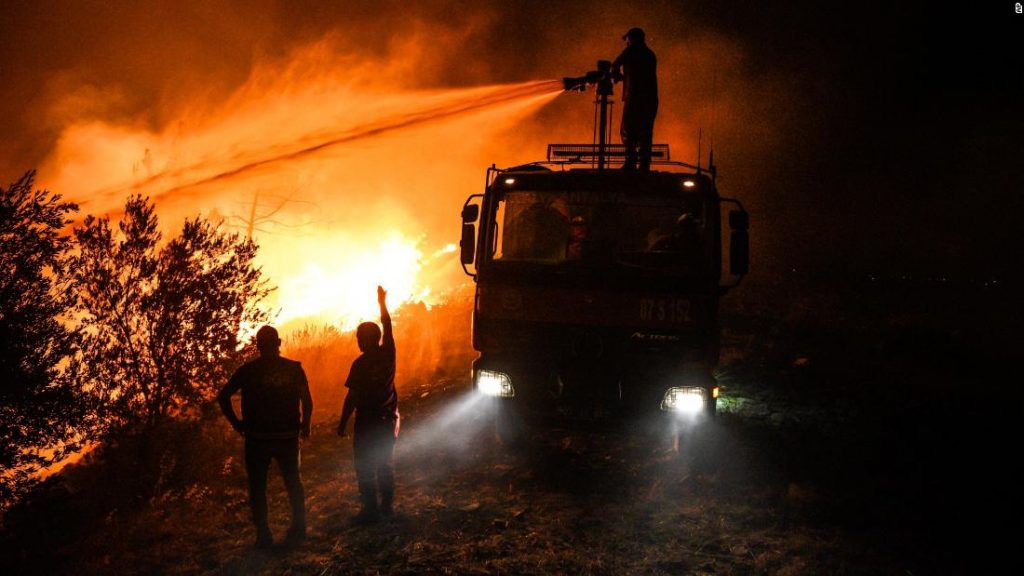 Lesní požáry v Turecku: Zemědělci tvrdí, že „hoří zvířata“ zničena, protože Turecko ničí lesní požáry