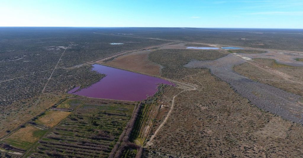Ekologové tvrdí, že argentinská jezera se zbarvují do růžova, ale výhled není tak růžový