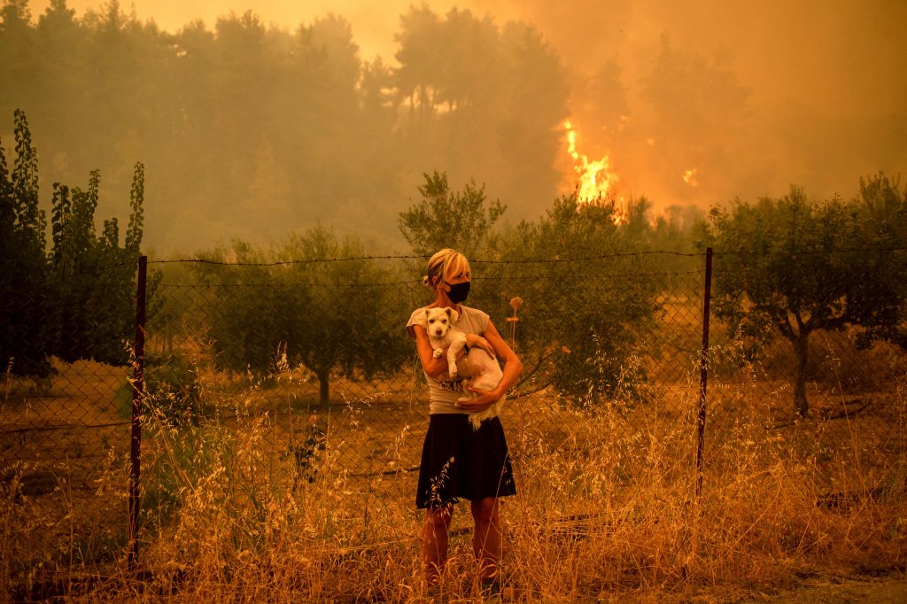 Obrázky ukazují ničivé lesní požáry v Řecku