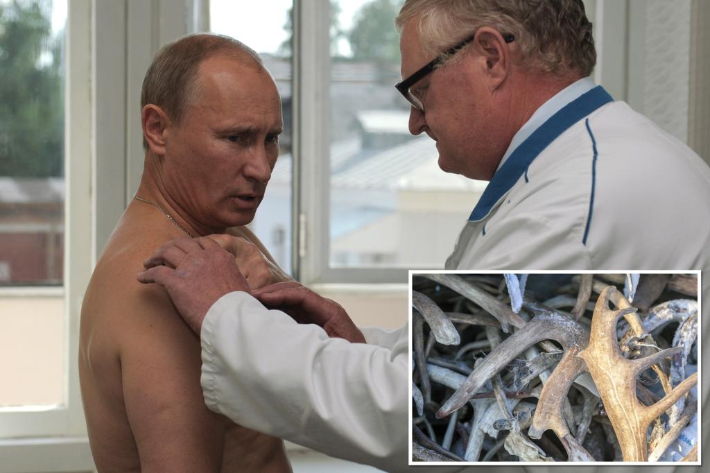 Vladimir Putin hlásil kontroly rakoviny a krveprolití paroží