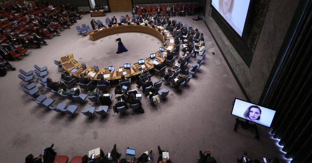 Rada bezpečnosti OSN včetně Ruska vyjadřuje znepokojení nad Ukrajinou