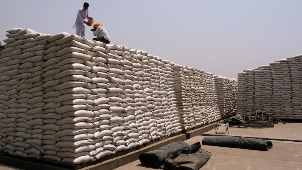 Indie s okamžitou platností zakazuje vývoz pšenice