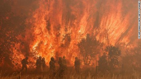 Vlna veder ve Španělsku má skončit v pondělí, ale hasiči se stále potýkají s lesními požáry v severních oblastech včetně Pomarego de Terra poblíž Zamory.