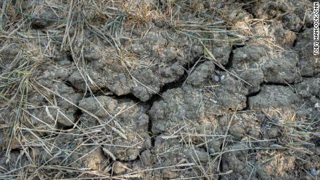 Popraskaná země na suchém poli poblíž Chelmsfordu v Anglii.